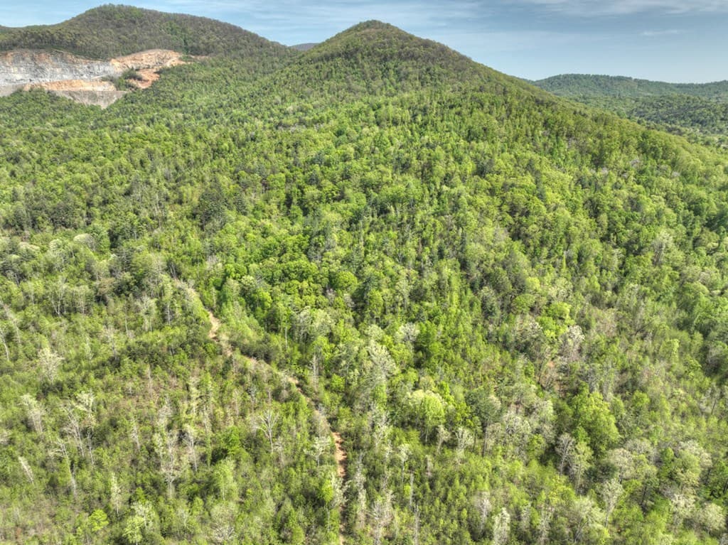 138.06AC N Hwy 515, Ellijay GA 30540 - Photo