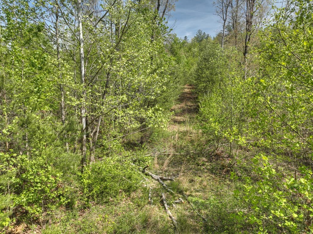 138.06AC N Hwy 515, Ellijay GA 30540 - Photo