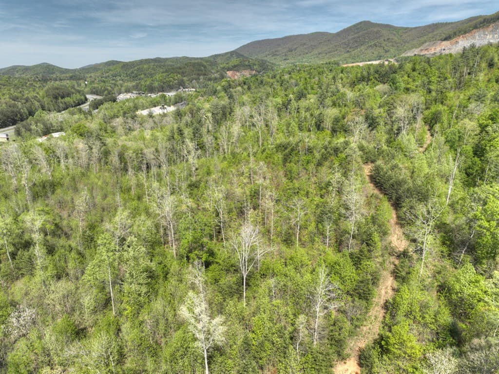138.06AC N Hwy 515, Ellijay GA 30540 - Photo