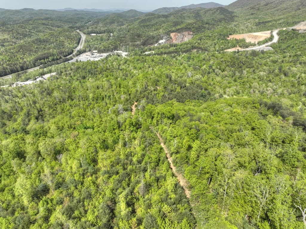 138.06AC N Hwy 515, Ellijay GA 30540 - Photo