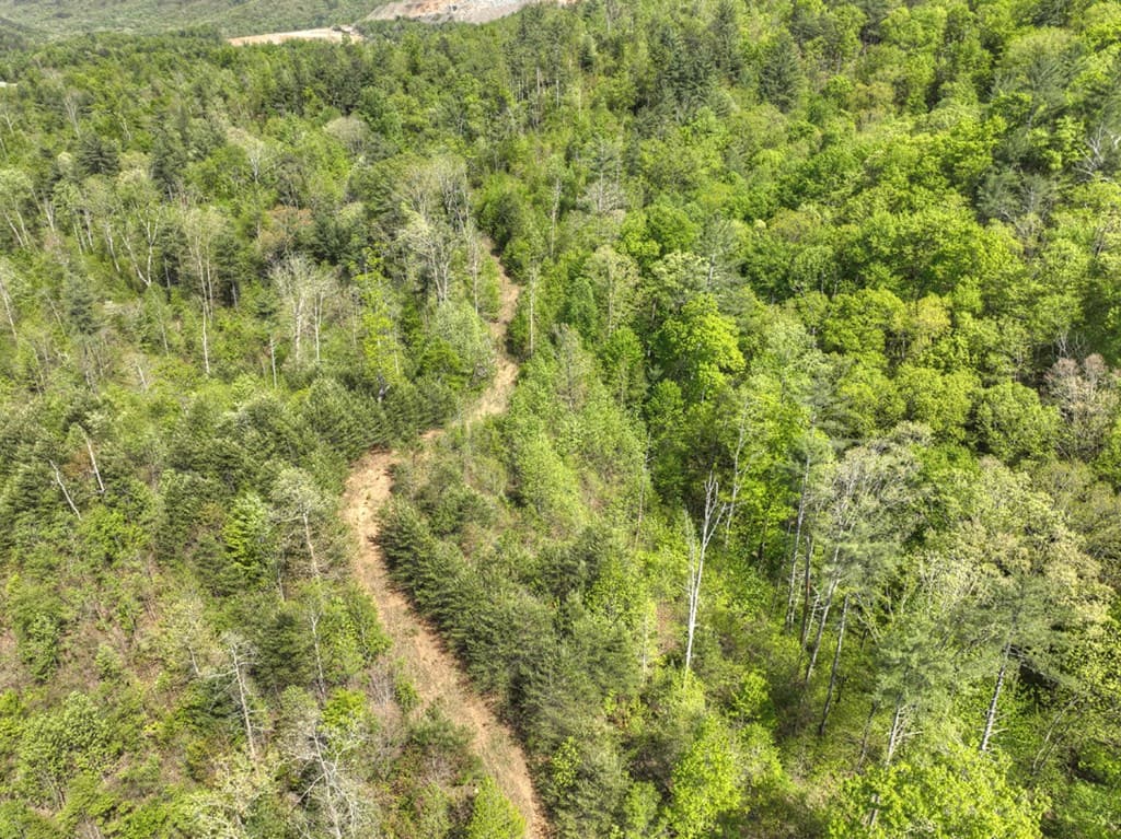 138.06AC N Hwy 515, Ellijay GA 30540 - Photo