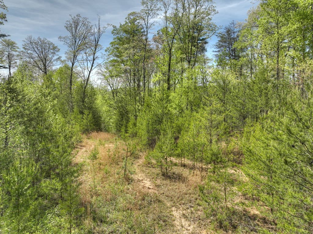 138.06AC N Hwy 515, Ellijay GA 30540 - Photo