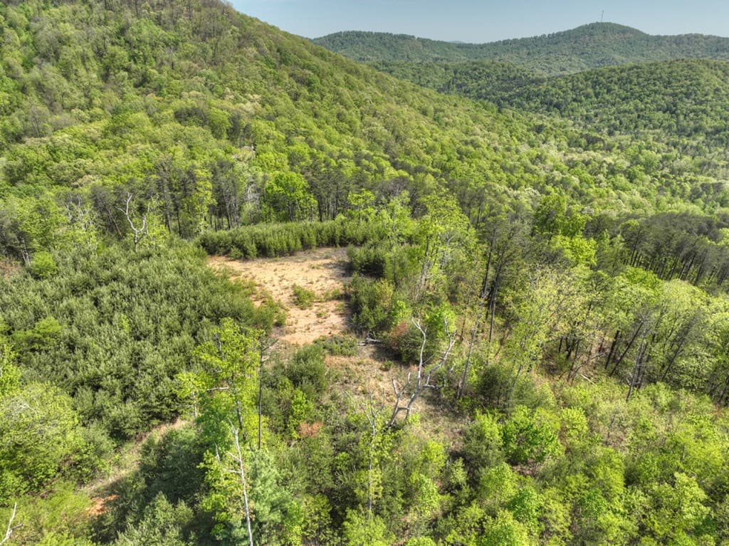 138.06AC N Hwy 515, Ellijay GA 30540 - Photo