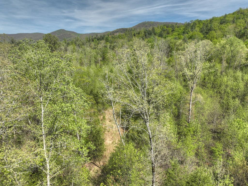 138.06AC N Hwy 515, Ellijay GA 30540 - Photo