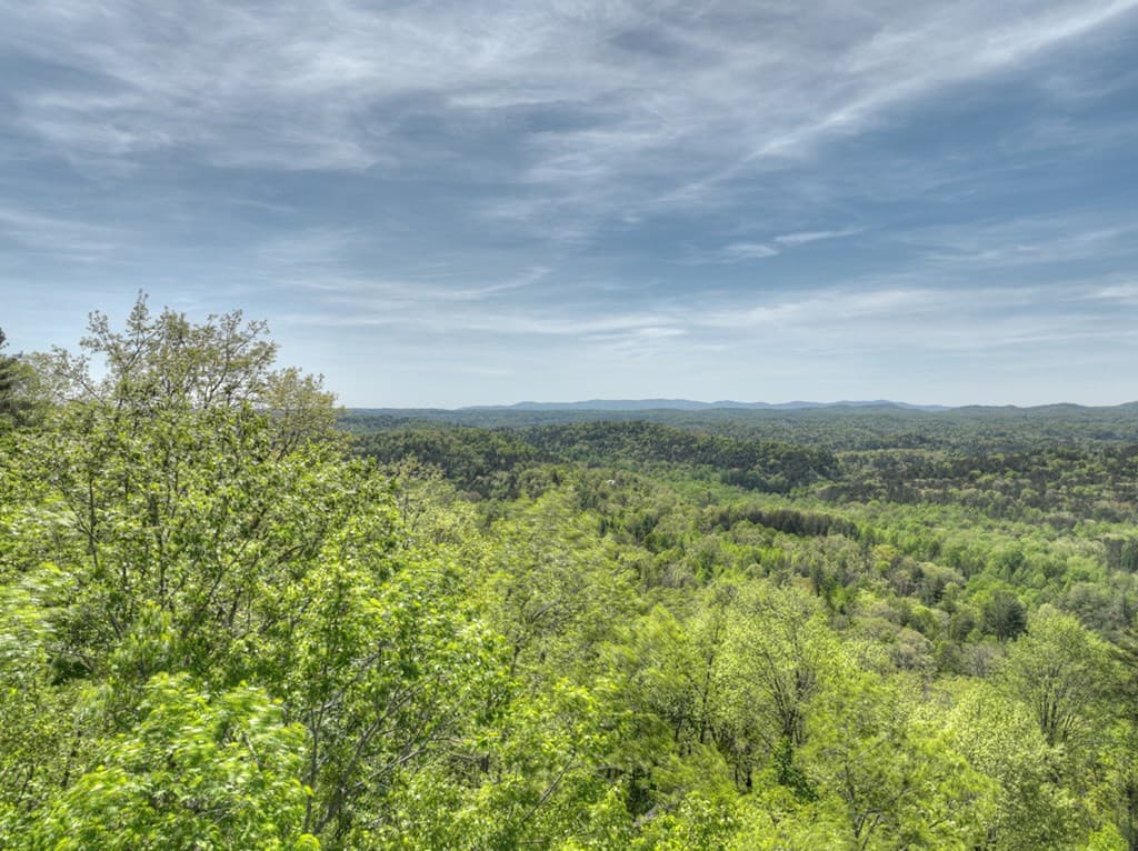 138.06AC N Hwy 515, Ellijay GA 30540 - Photo