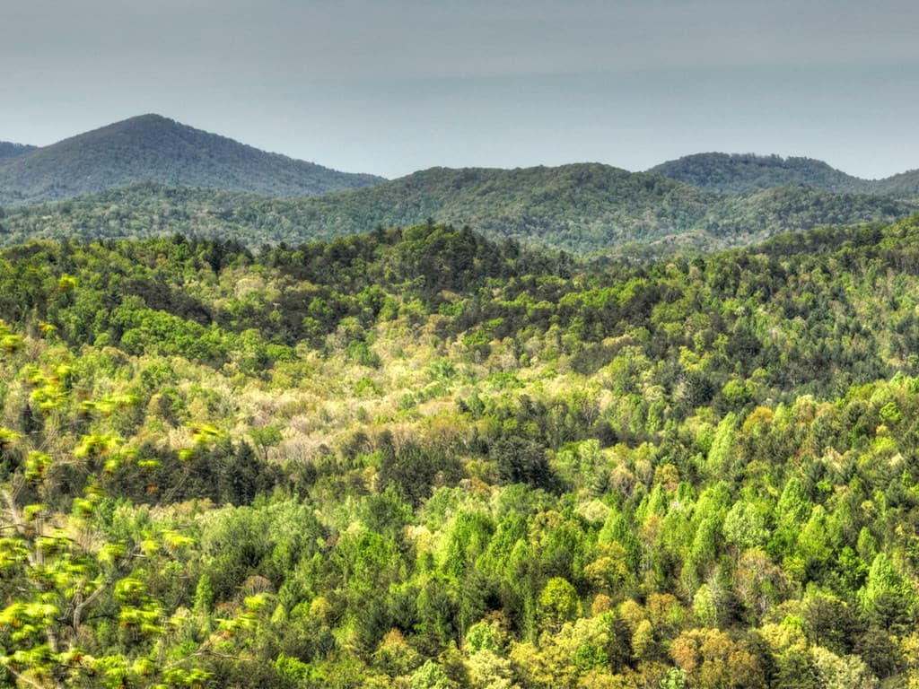 138.06AC N Hwy 515, Ellijay GA 30540 - Photo