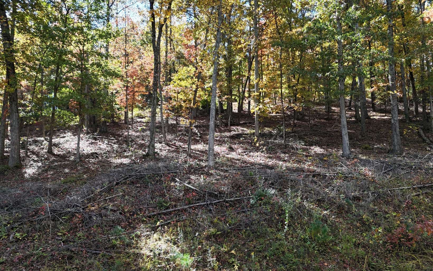 LT 15 Fox Crossing, Blairsville GA 30512 - Photo