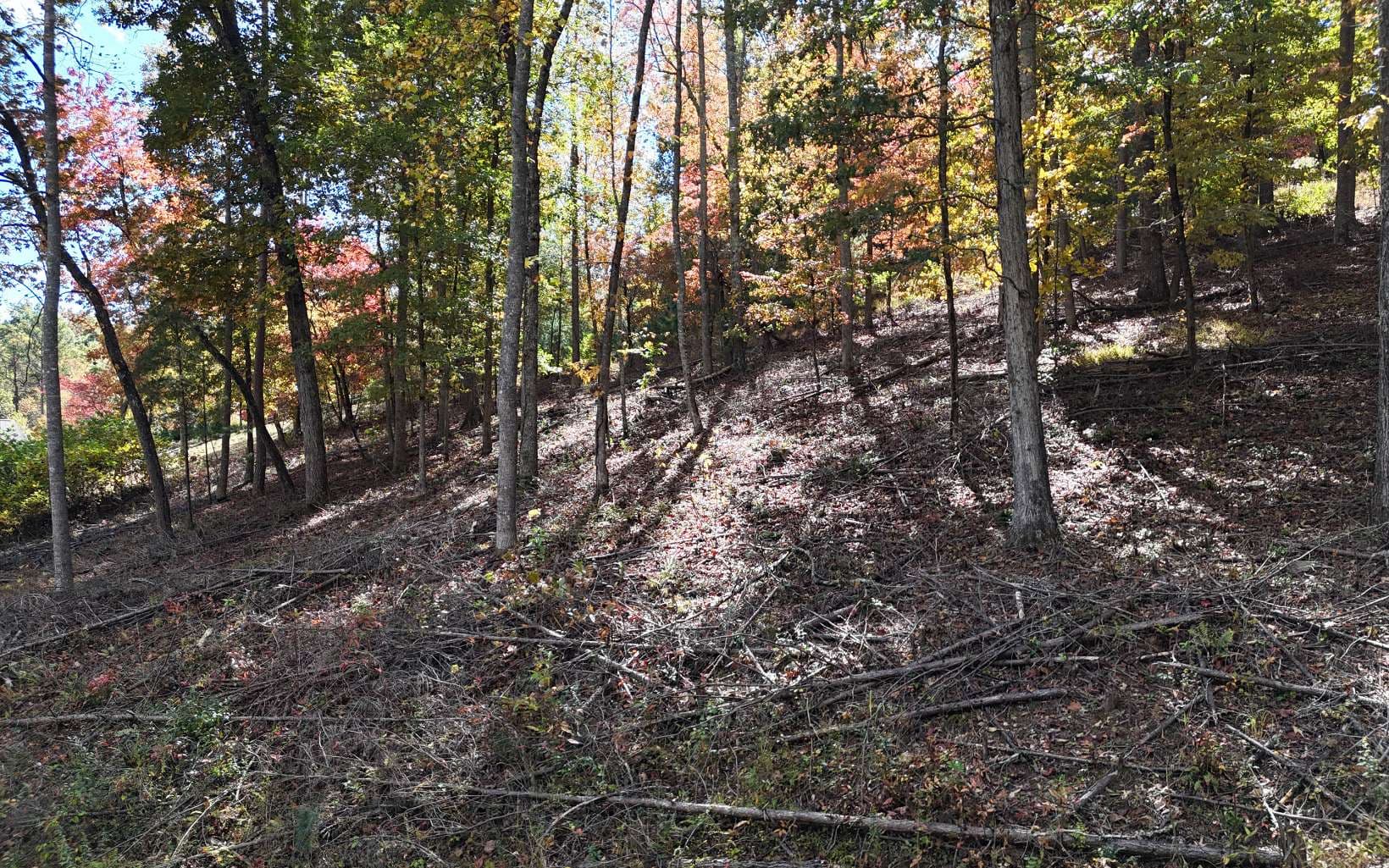 LT 15 Fox Crossing, Blairsville GA 30512 - Photo