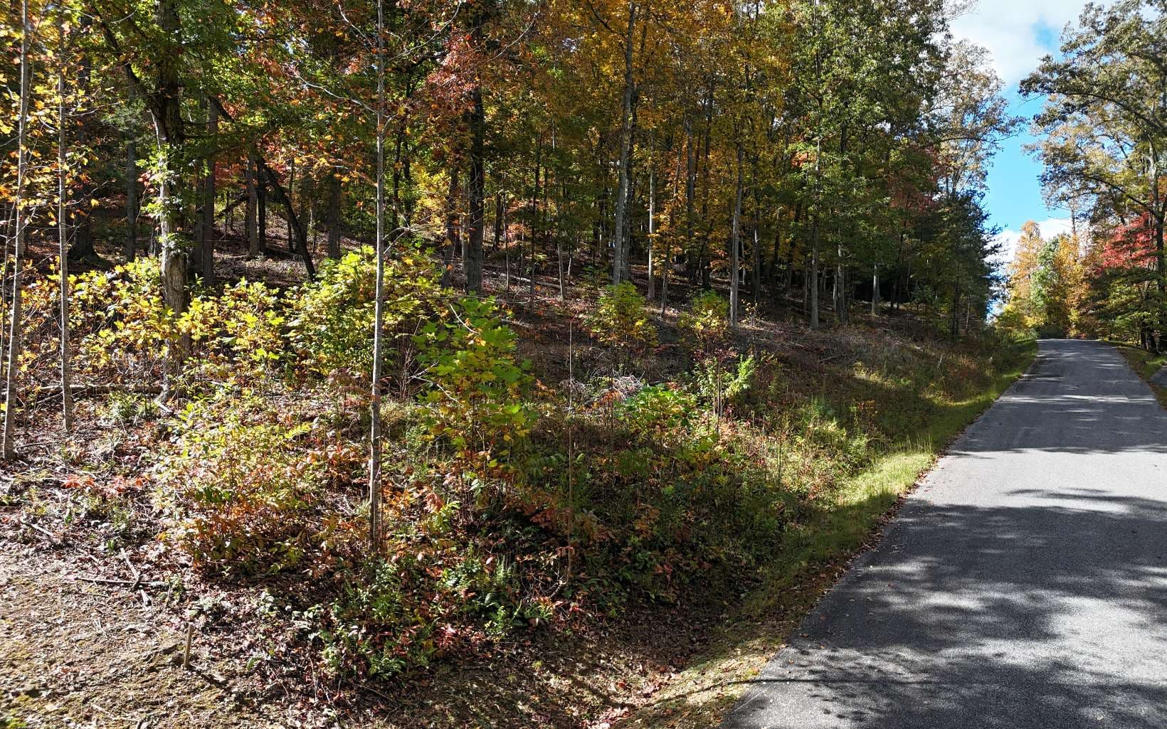 LT 14 Fox Crossing, Blairsville GA 30512 - Photo