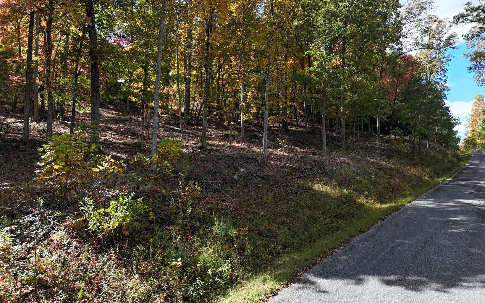 LT 14 Fox Crossing, Blairsville GA 30512 - Photo