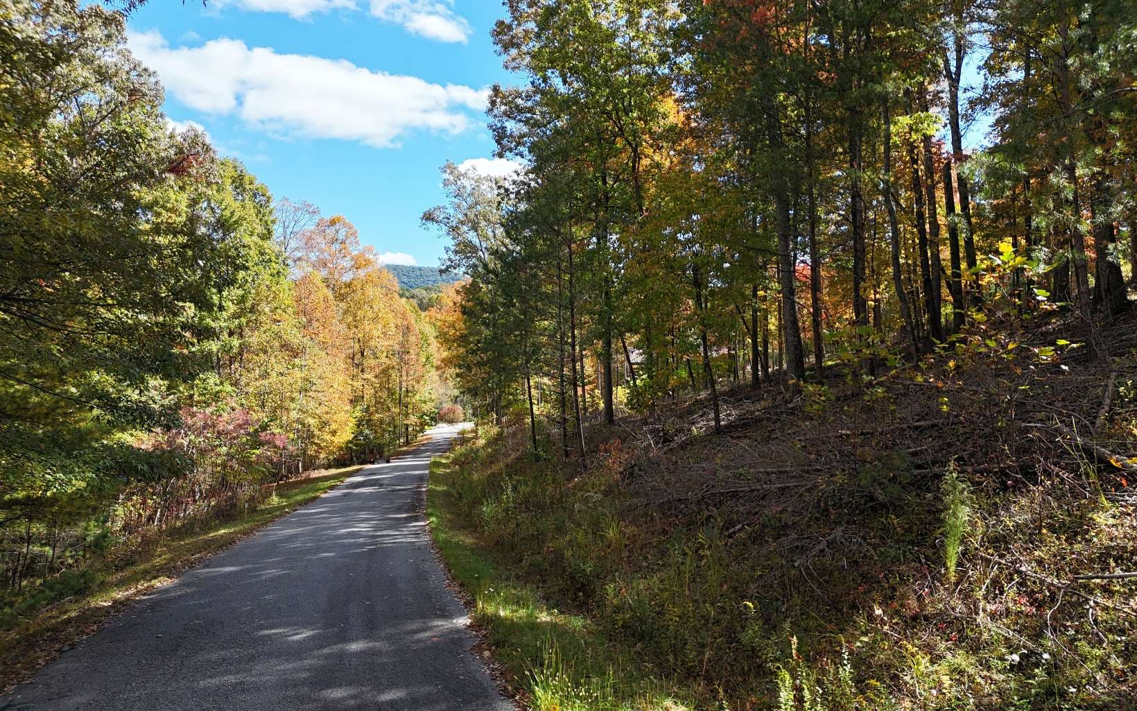 LT 14 Fox Crossing, Blairsville GA 30512 - Photo