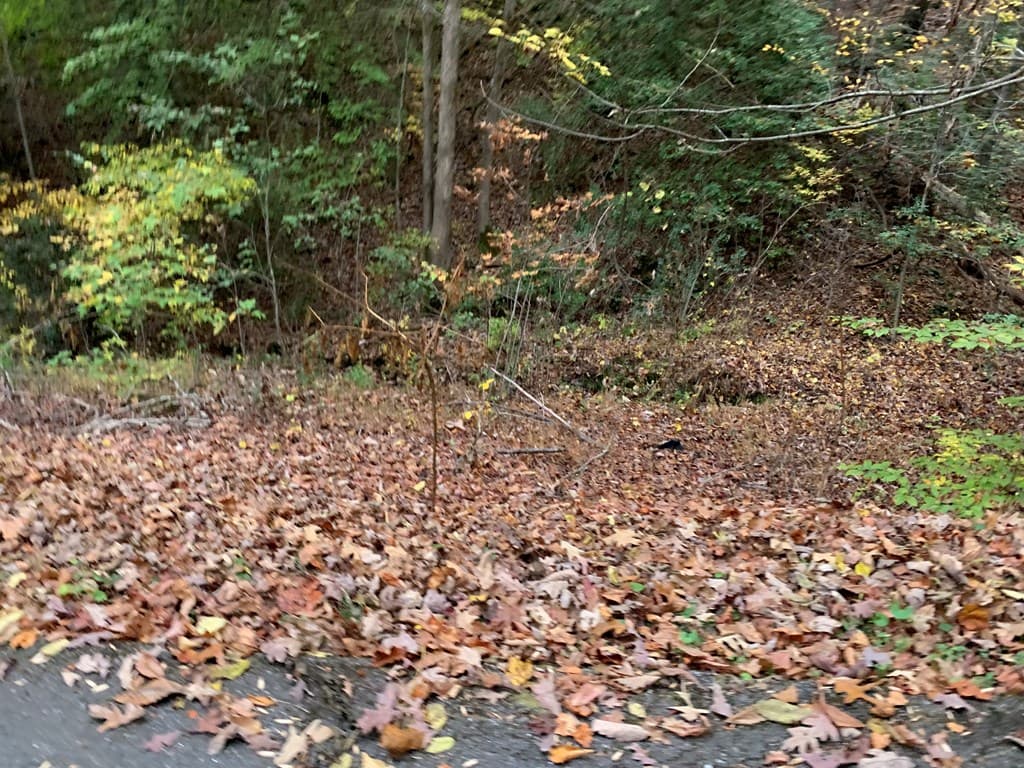 55 Laurel Springs Drive, Murphy NC 28906 - Photo
