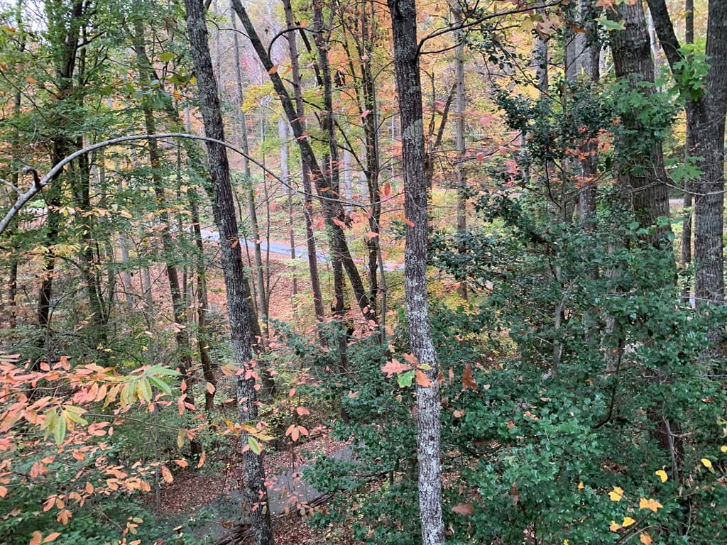 55 Laurel Springs Drive, Murphy NC 28906 - Photo