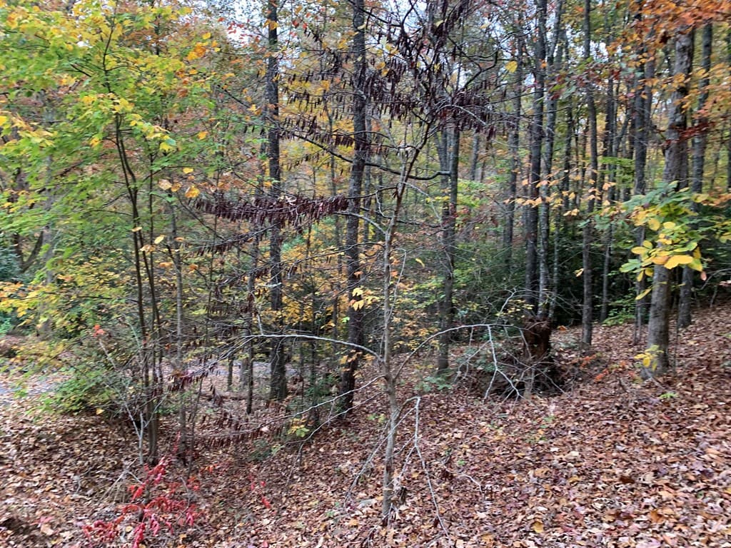 55 Laurel Springs Drive, Murphy NC 28906 - Photo
