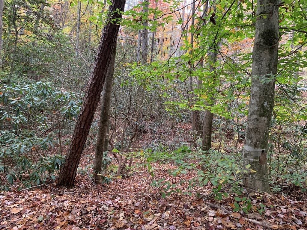 55 Laurel Springs Drive, Murphy NC 28906 - Photo