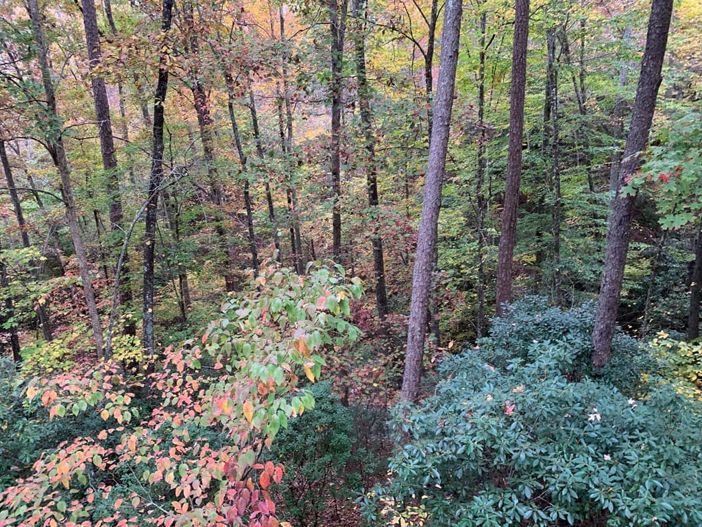 55 Laurel Springs Drive, Murphy NC 28906 - Photo
