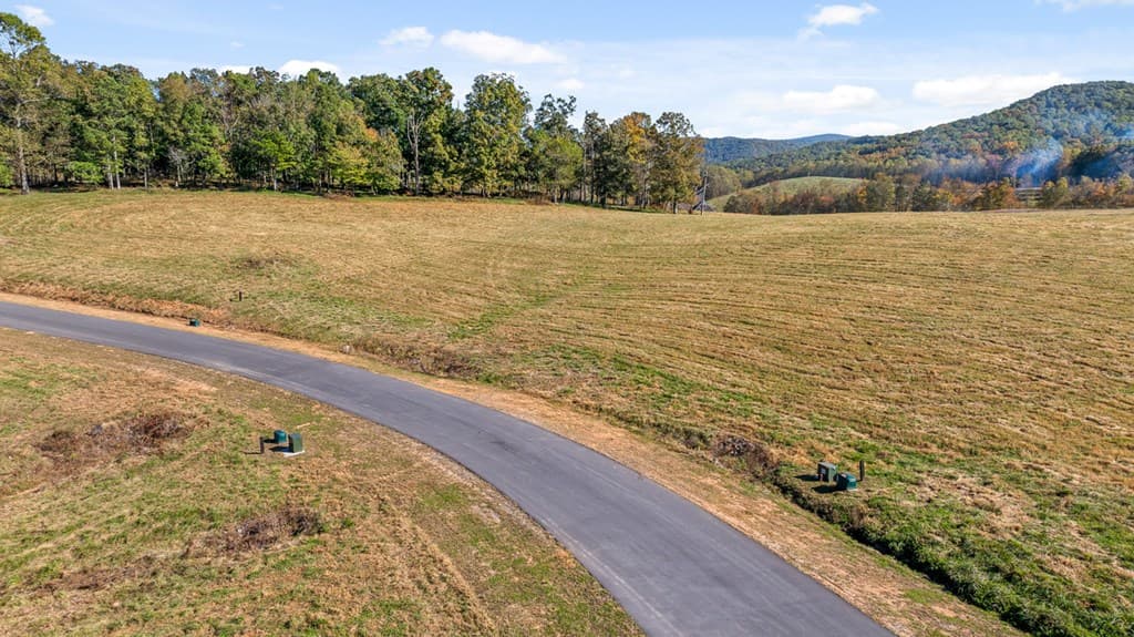 Lot 5 Bravo Way, Talking Rock GA 30175 - Photo