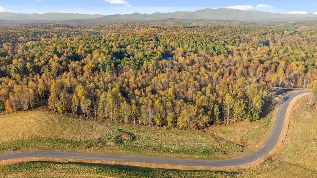 Lot 23 Bravo Way, Talking Rock GA 30175 - Photo