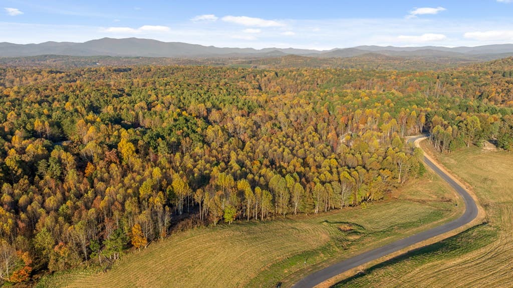 Lot 23 Bravo Way, Talking Rock GA 30175 - Photo