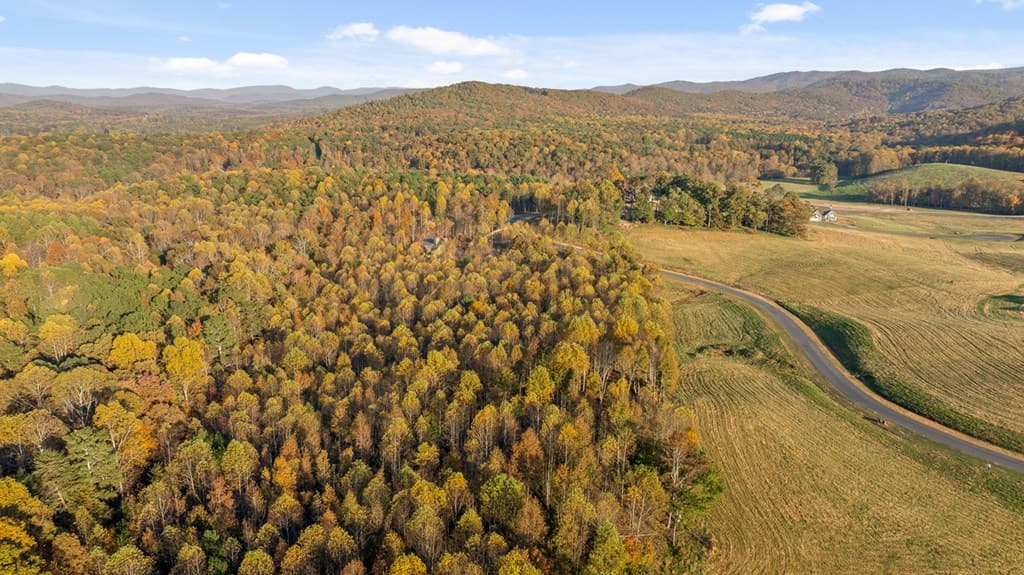 Lot 23 Bravo Way, Talking Rock GA 30175 - Photo