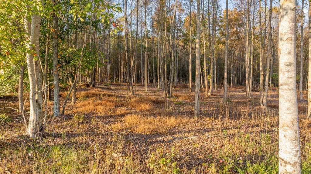 Lot 23 Bravo Way, Talking Rock GA 30175 - Photo