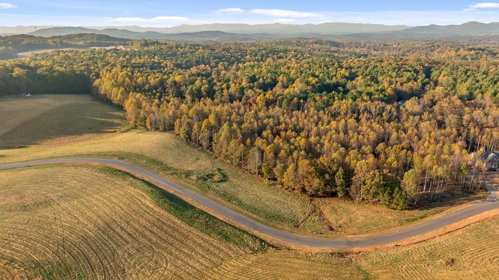 Lot 23 Bravo Way, Talking Rock GA 30175 - Photo