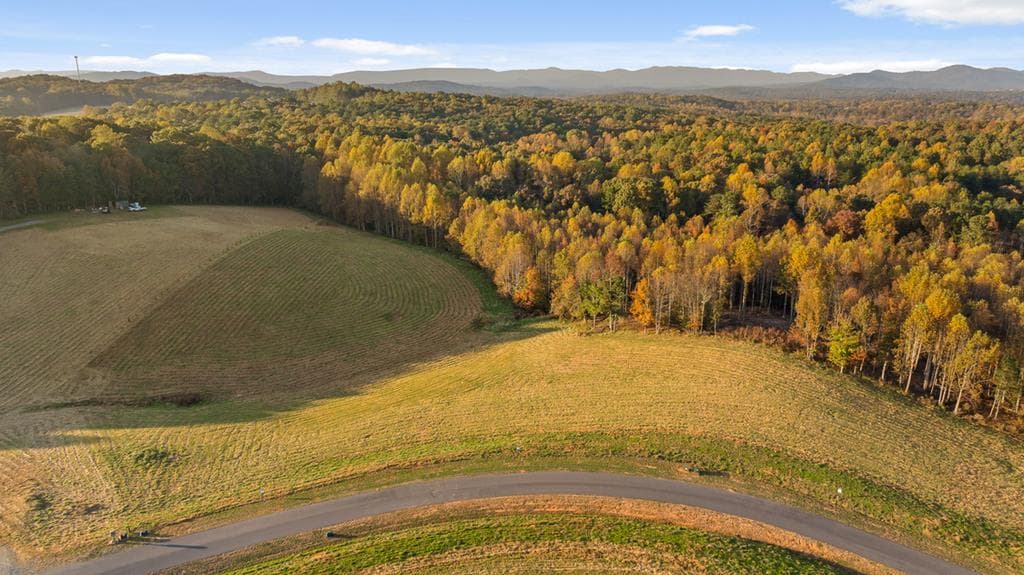 Lot 25 Bravo Way, Talking Rock GA 30175 - Photo