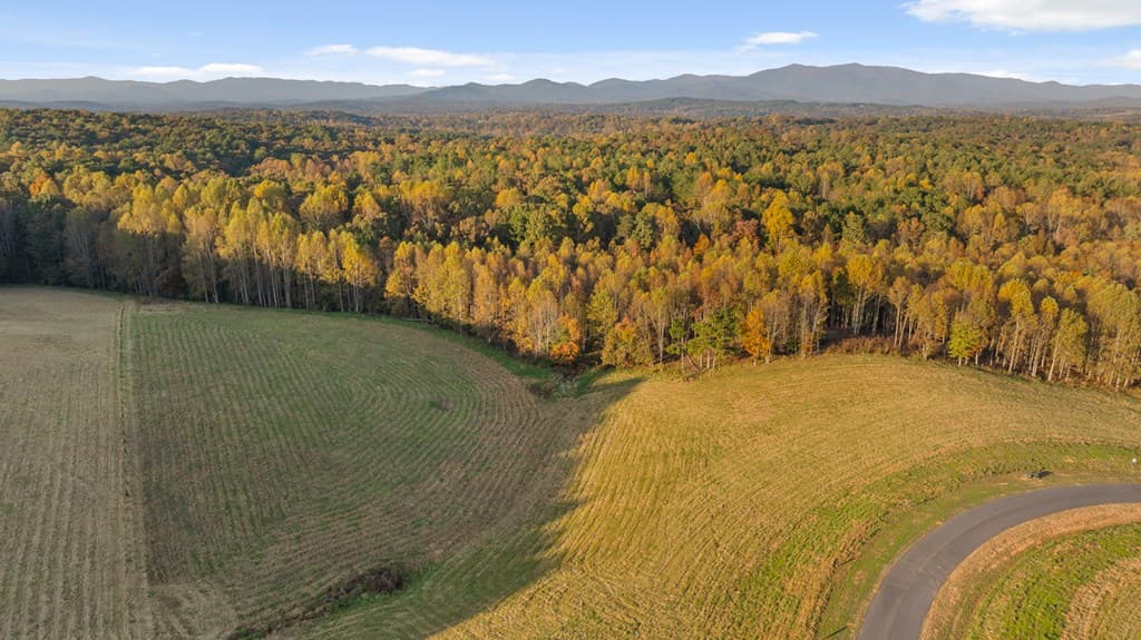 Lot 25 Bravo Way, Talking Rock GA 30175 - Photo