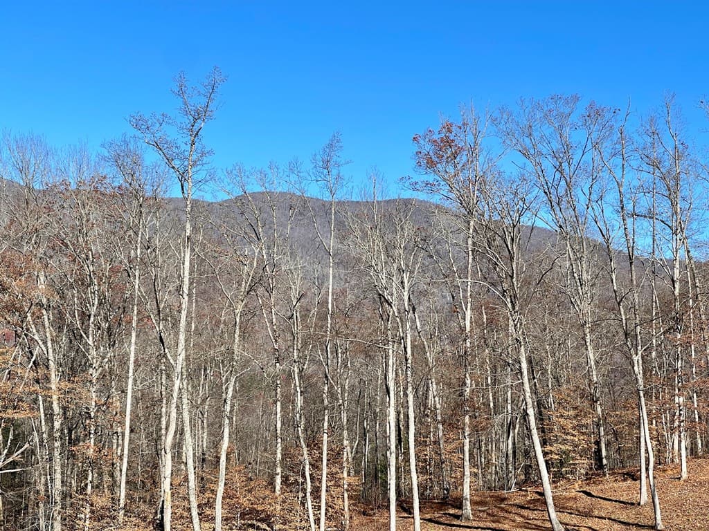0 E Hwy 64 E, Hayesville NC 28904 - Photo