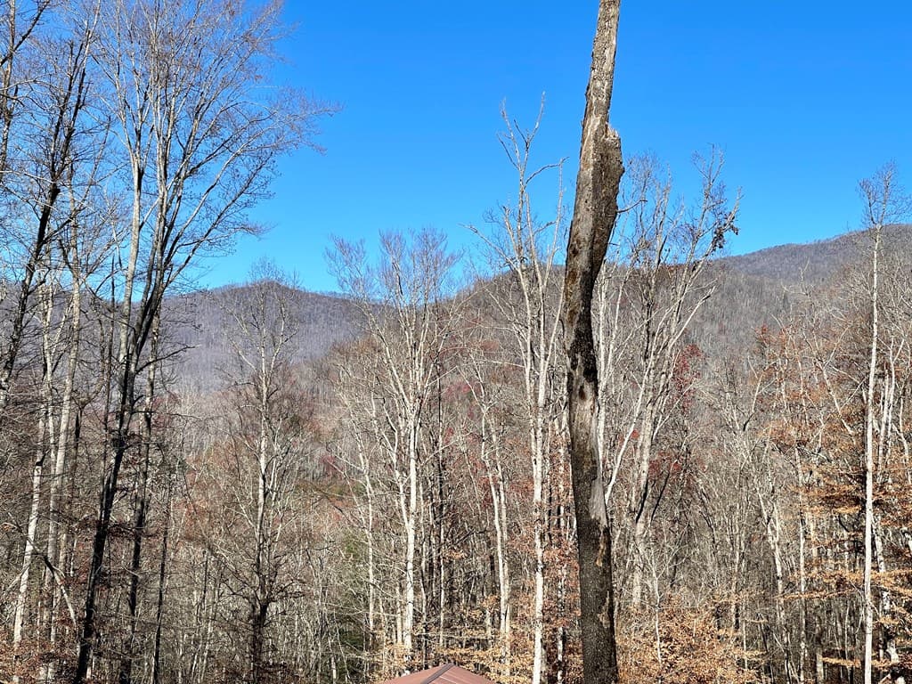 0 E Hwy 64 E, Hayesville NC 28904 - Photo