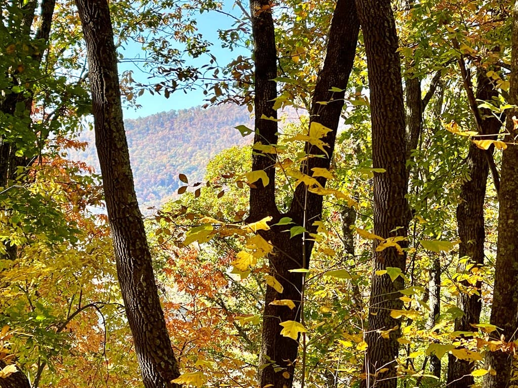 0 E Hwy 64 E, Hayesville NC 28904 - Photo