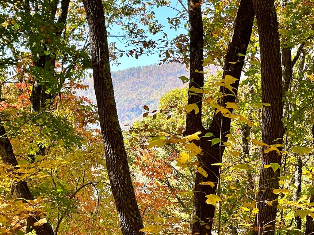 0 E Hwy 64 E, Hayesville NC 28904 - Photo