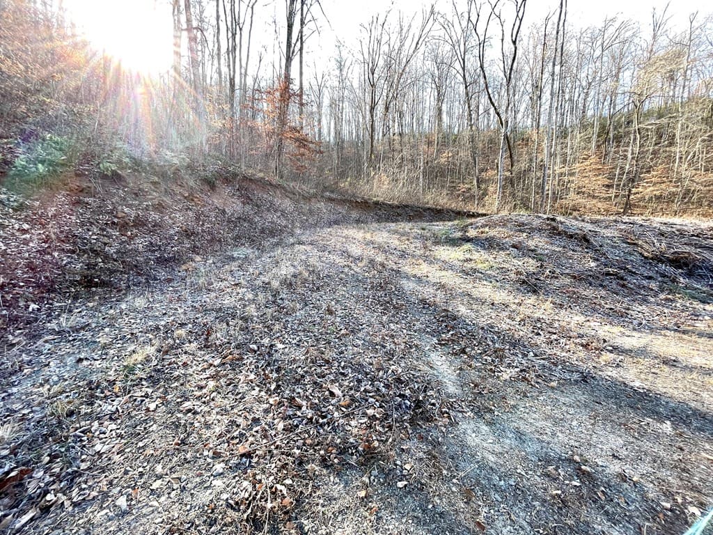 0 E Hwy 64 E, Hayesville NC 28904 - Photo