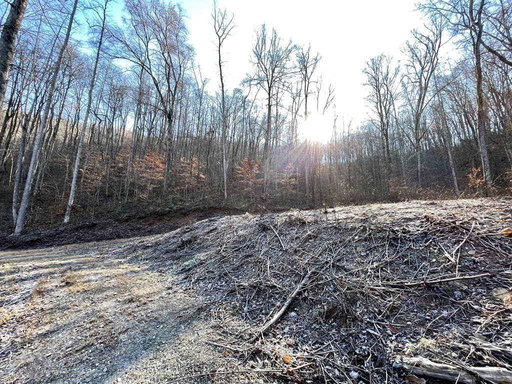 0 E Hwy 64 E, Hayesville NC 28904 - Photo