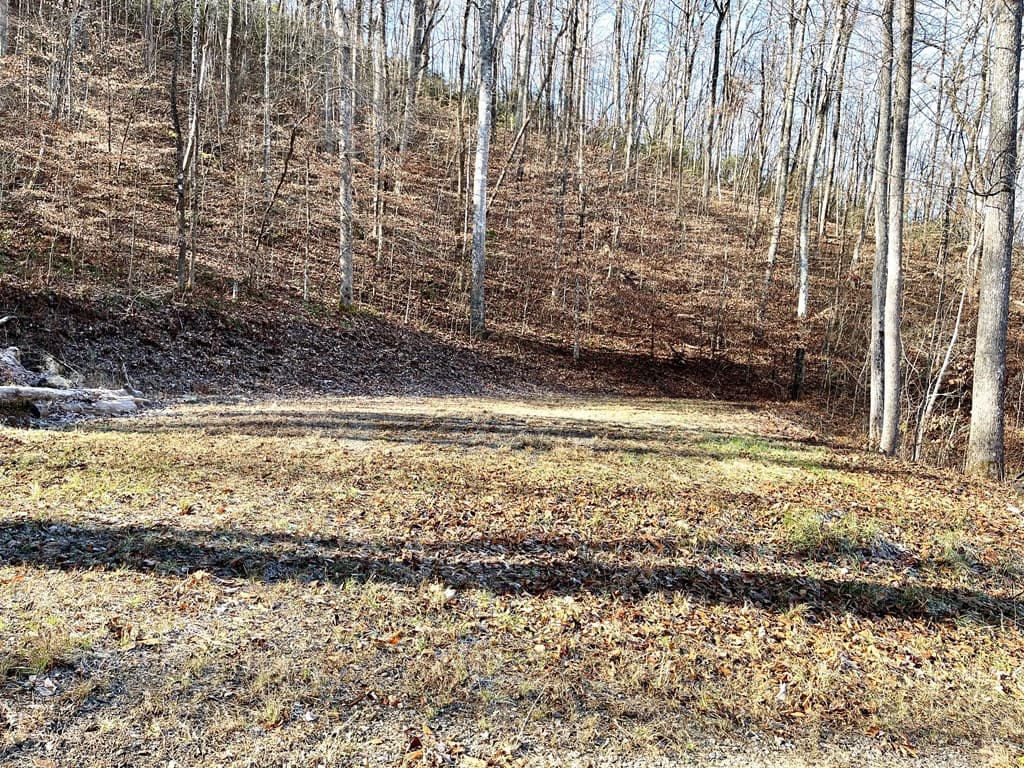 0 E Hwy 64 E, Hayesville NC 28904 - Photo