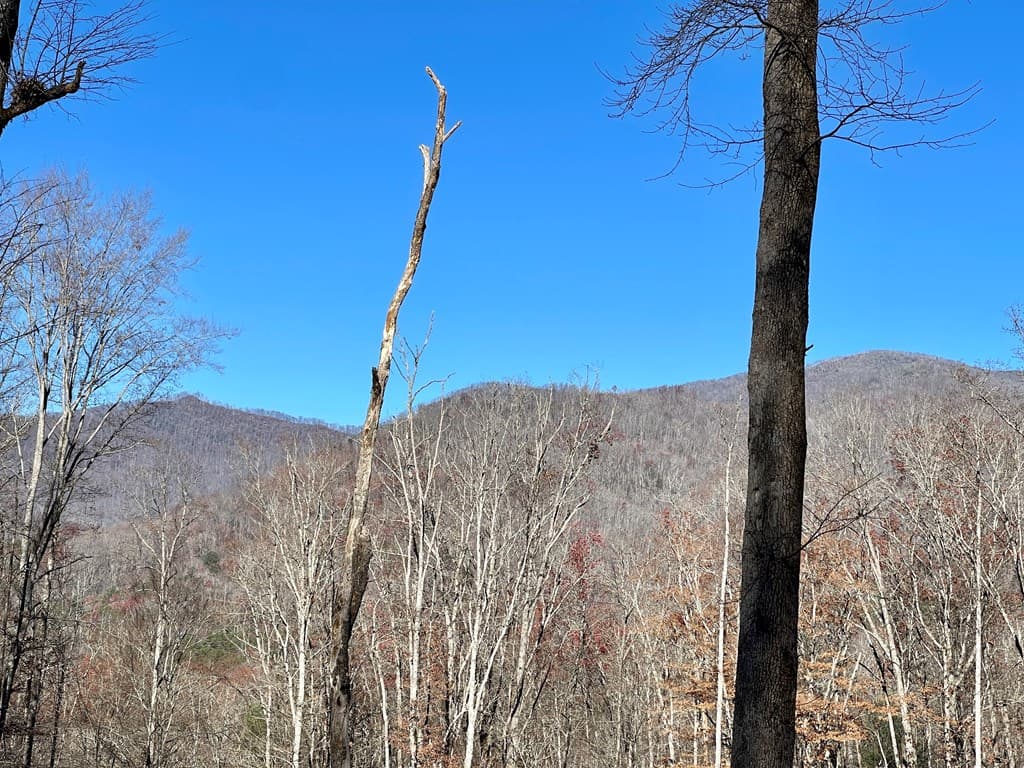 0 E Hwy 64 E, Hayesville NC 28904 - Photo