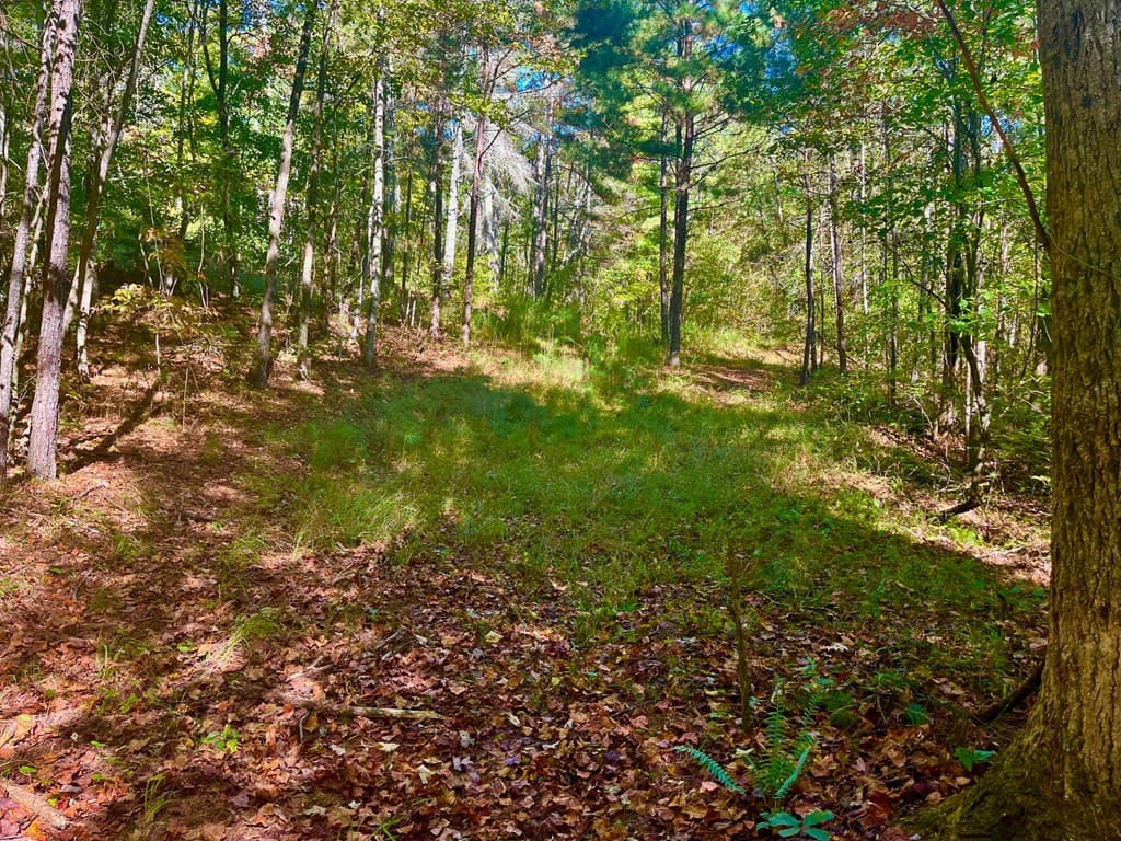 59 High River Landing, Ellijay GA 30540 - Photo