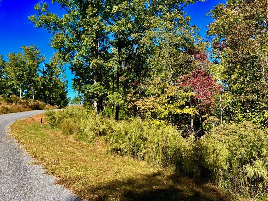 59 High River Landing, Ellijay GA 30540 - Photo