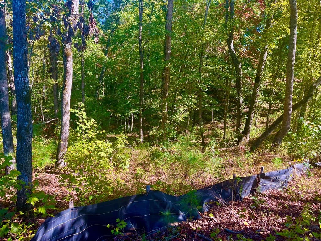 59 High River Landing, Ellijay GA 30540 - Photo
