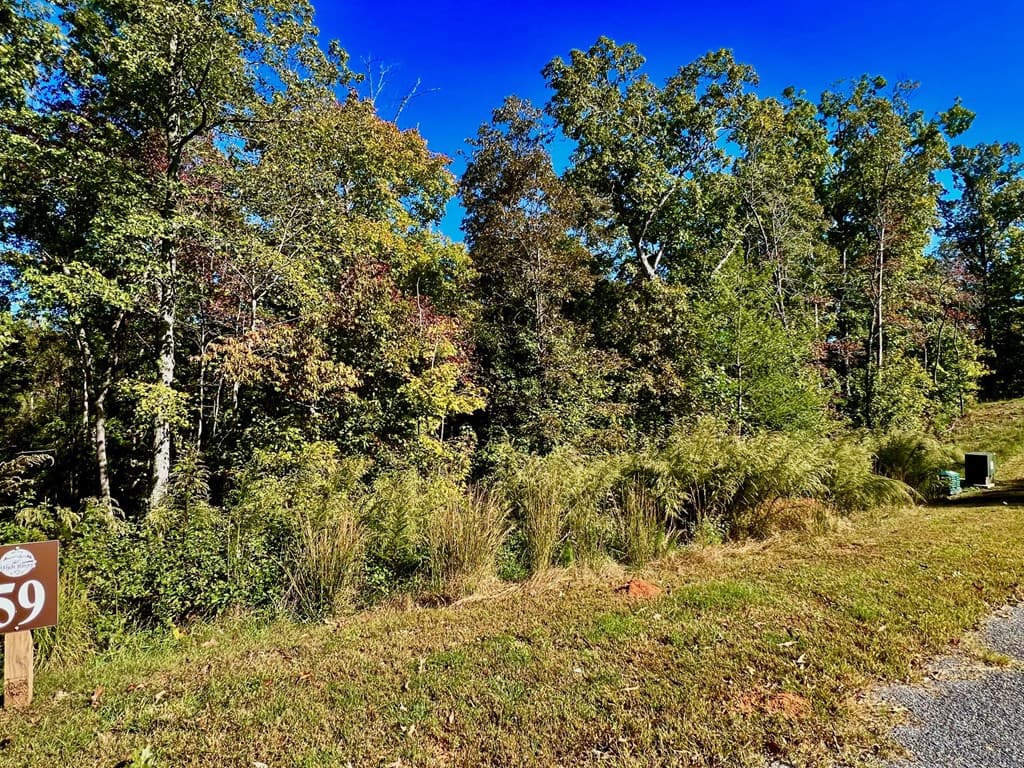 59 High River Landing, Ellijay GA 30540 - Photo