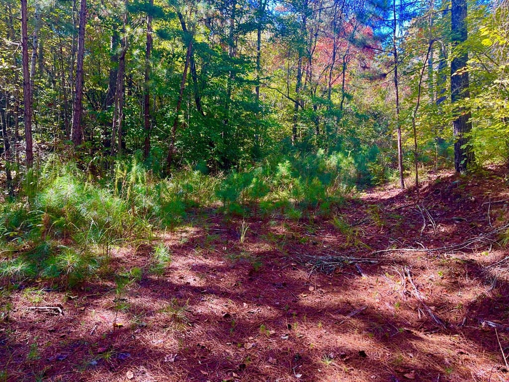 59 High River Landing, Ellijay GA 30540 - Photo
