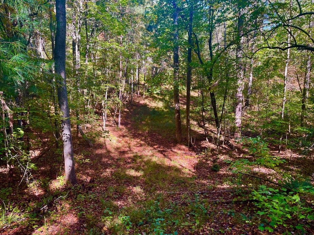59 High River Landing, Ellijay GA 30540 - Photo