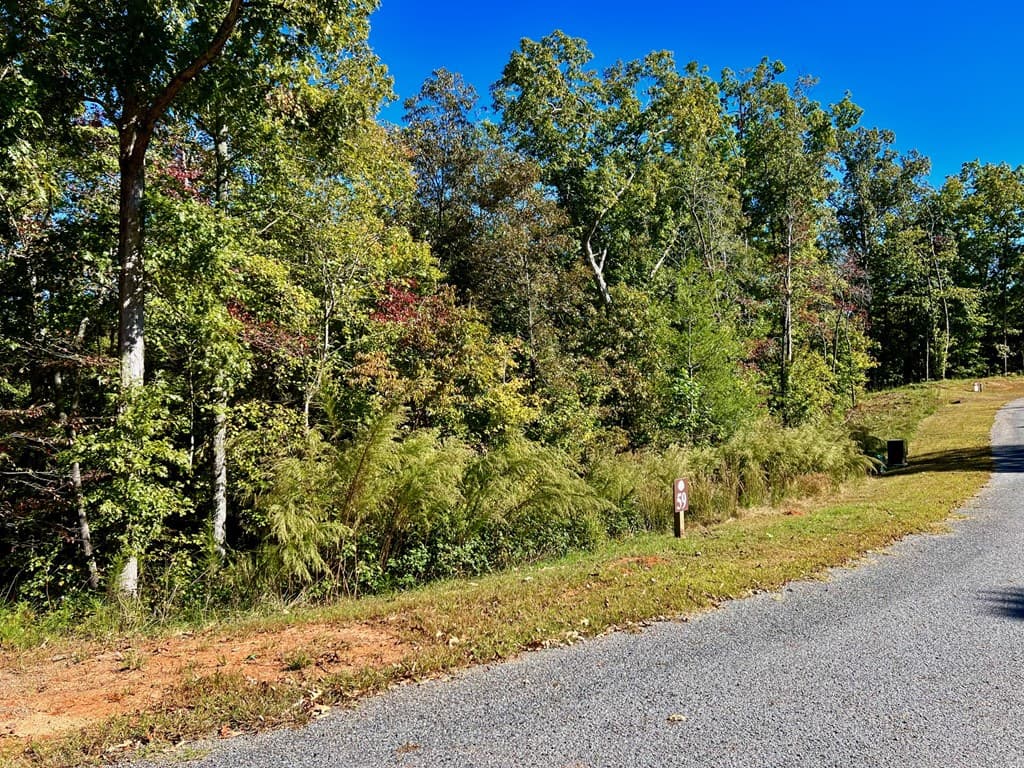 59 High River Landing, Ellijay GA 30540 - Photo