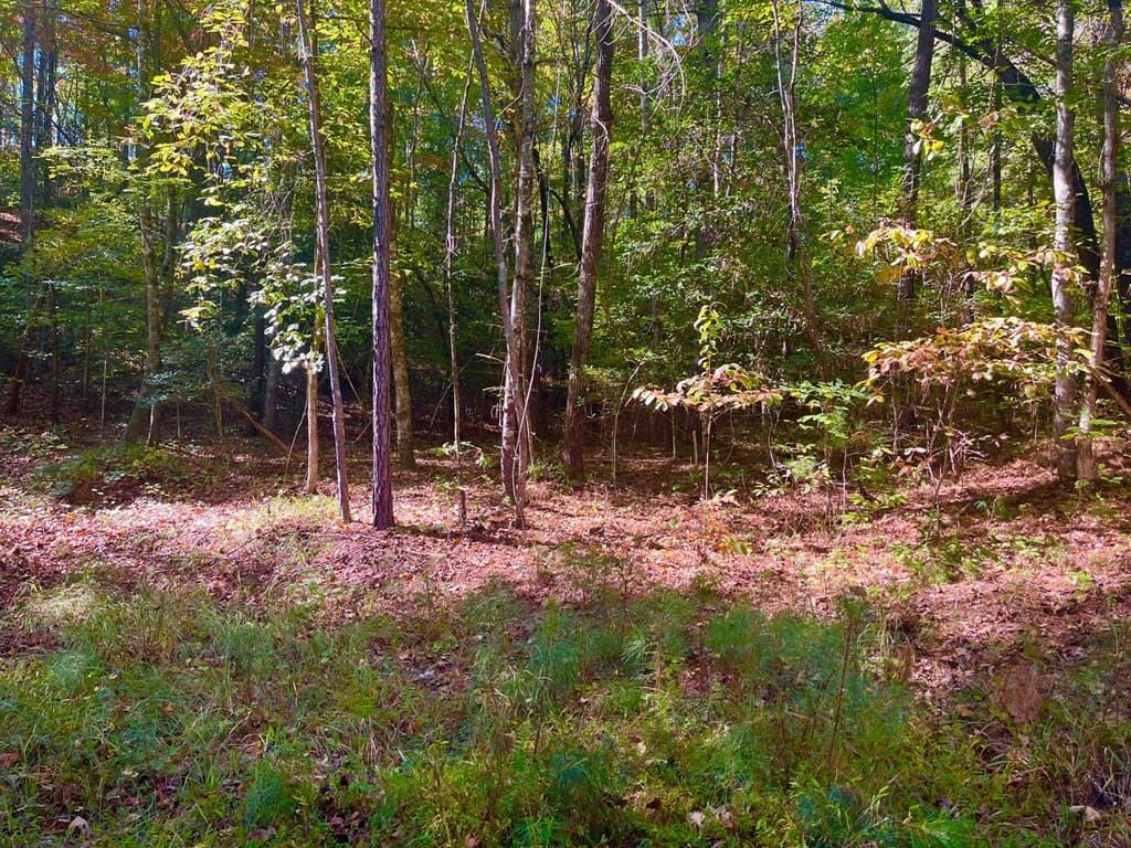 59 High River Landing, Ellijay GA 30540 - Photo