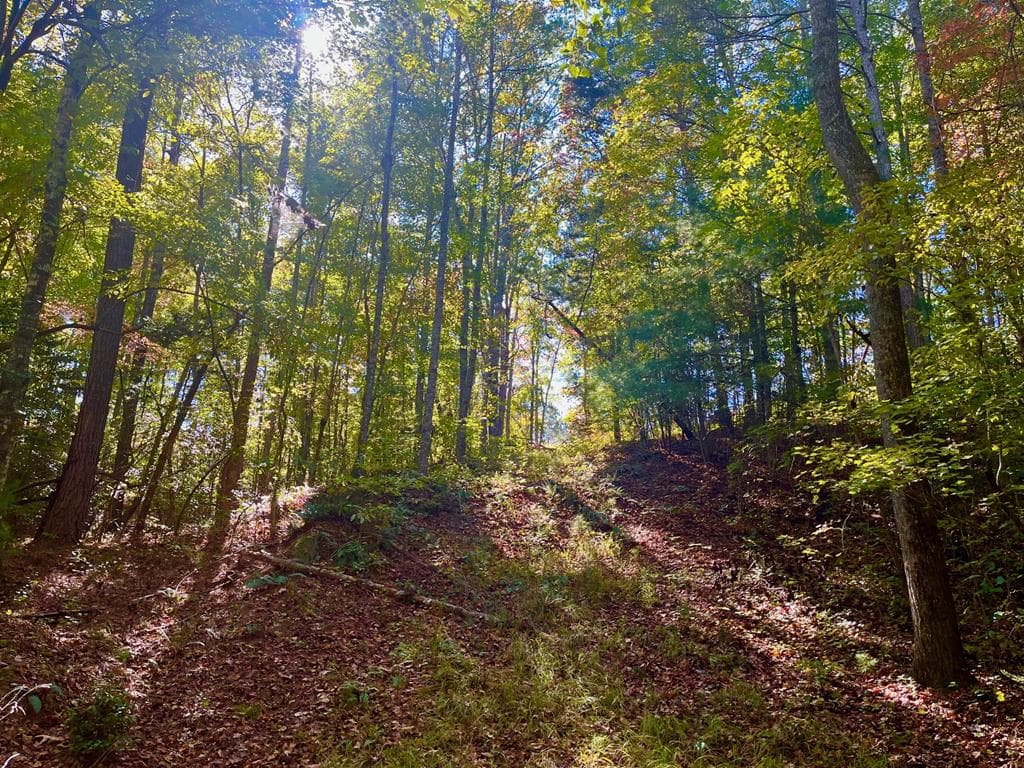 59 High River Landing, Ellijay GA 30540 - Primary photo