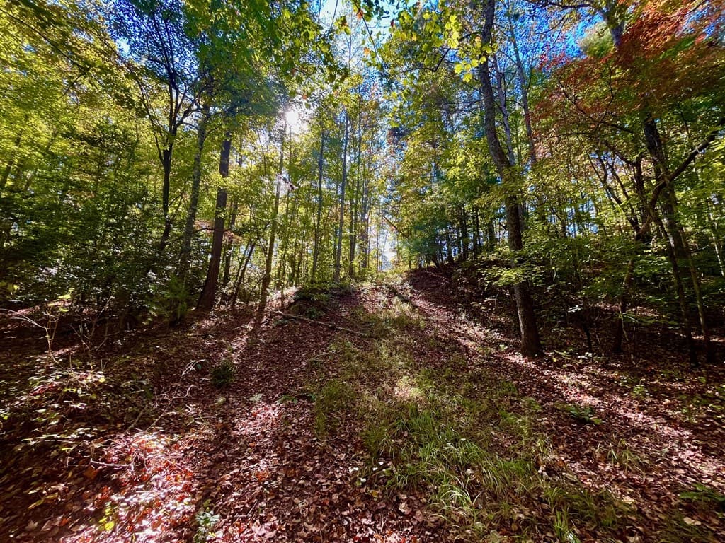 59 High River Landing, Ellijay GA 30540 - Photo