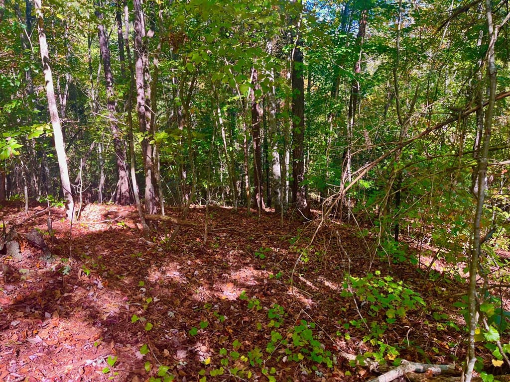 59 High River Landing, Ellijay GA 30540 - Photo