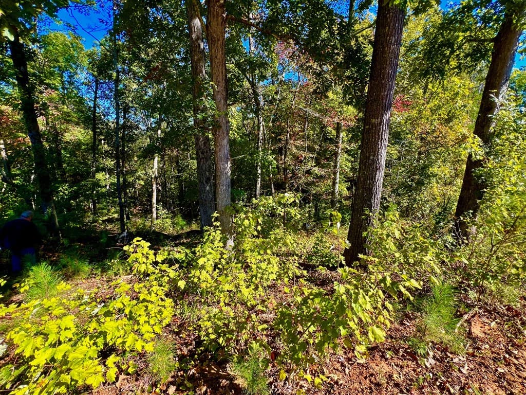 59 High River Landing, Ellijay GA 30540 - Photo