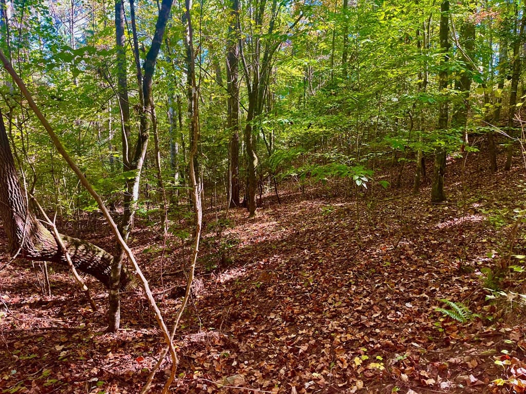 59 High River Landing, Ellijay GA 30540 - Photo