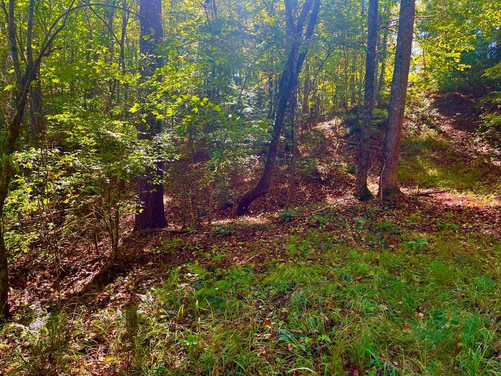59 High River Landing, Ellijay GA 30540 - Photo